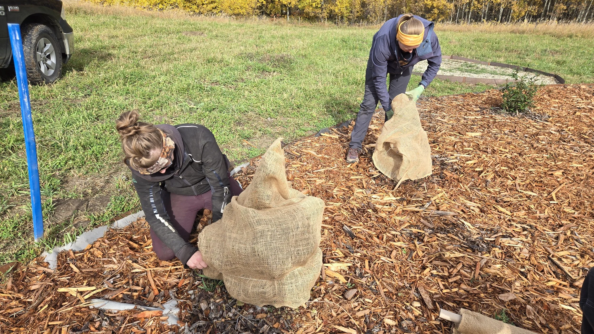 Winterize The Medicine Garden (8).jpg