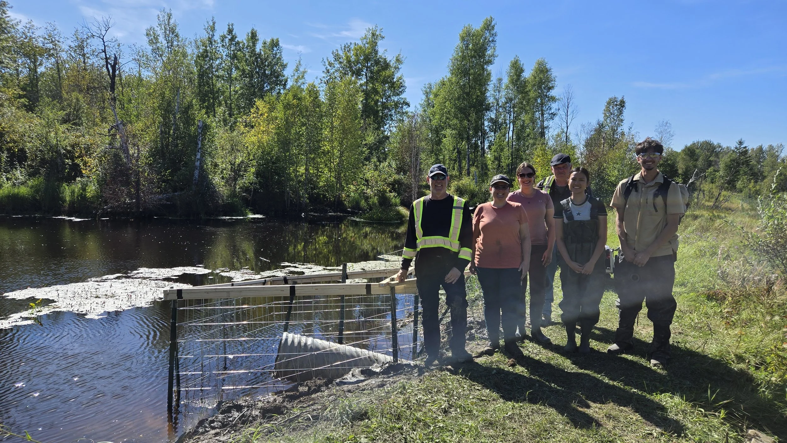 Culvert protection installed to deter beavers_LCNS_2026-09-01.jpg