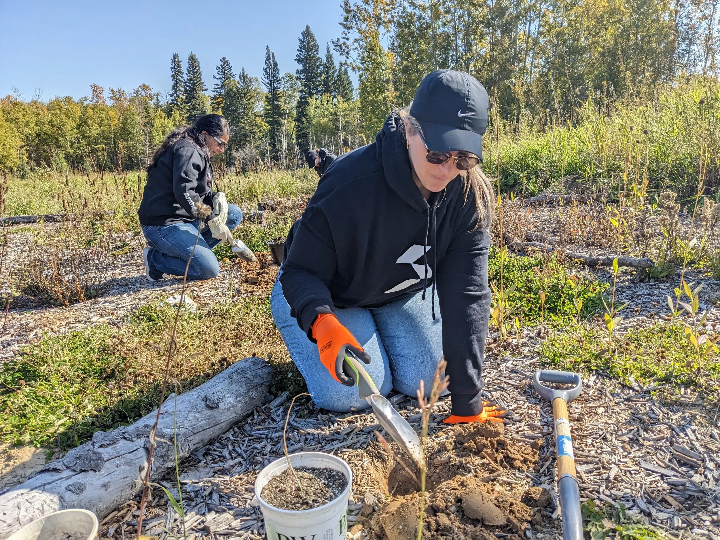 October Field Notes — Edmonton & Area Land Trust