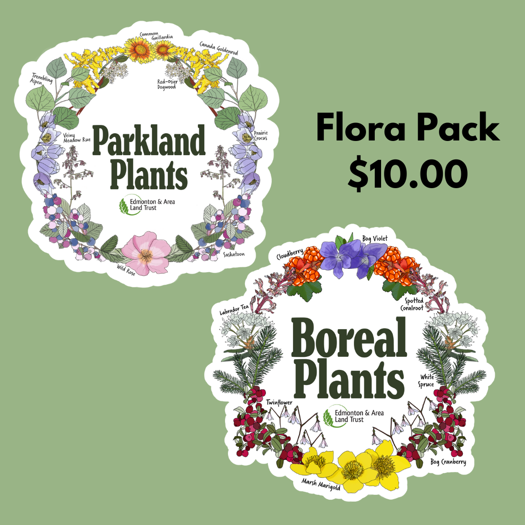 Flora (2-Pack) - Vinyl Stickers