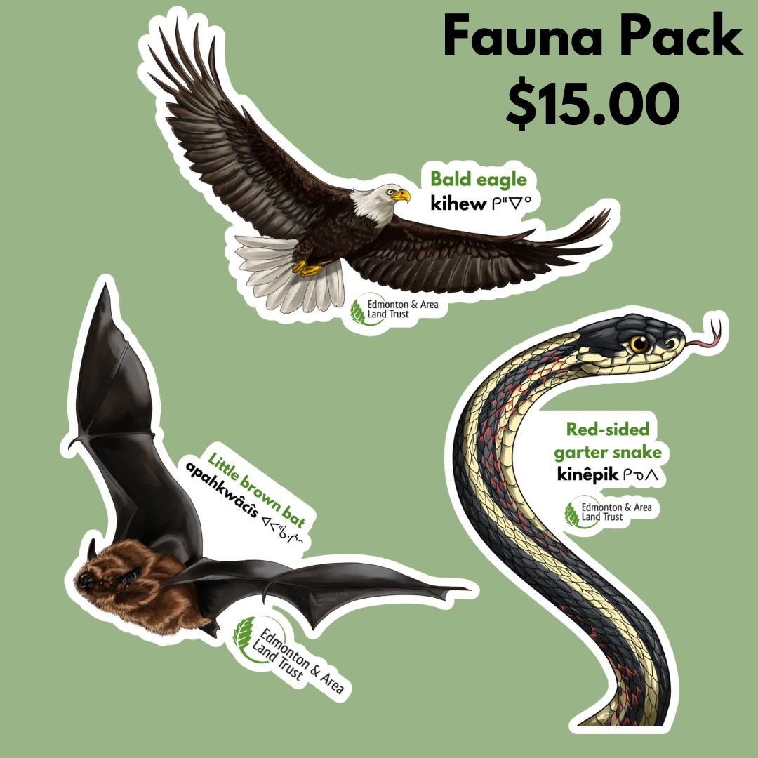 Fauna (3-Pack) - Vinyl Stickers
