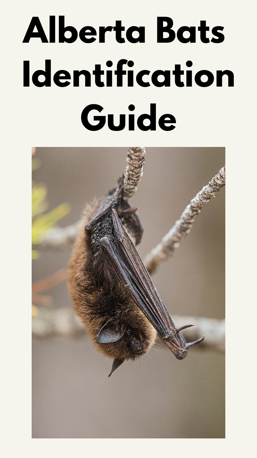 Identification Guides — Edmonton & Area Land Trust