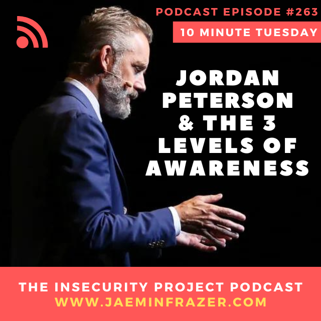 Episode 263. Jordan Peterson and the 3 levels of awareness episode artwork