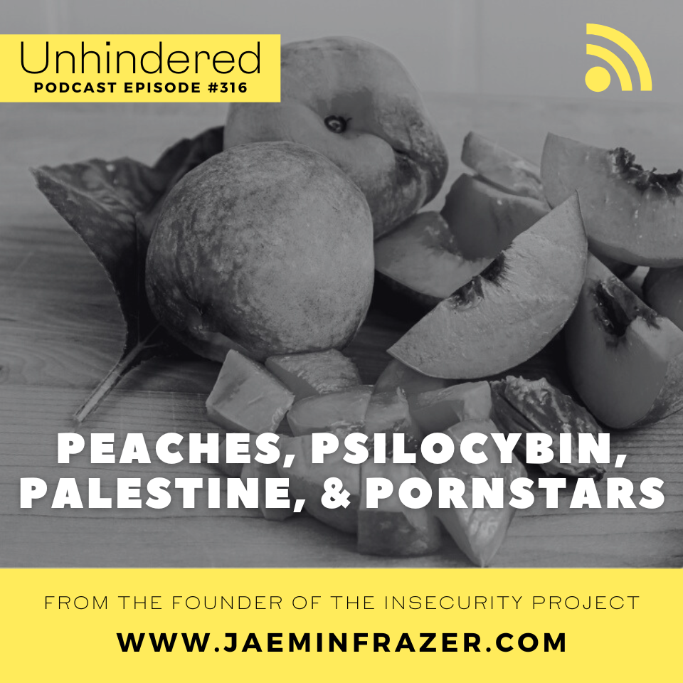 Episode 316. Peaches, Psilocybin, Palestine and Pornstars episode artwork