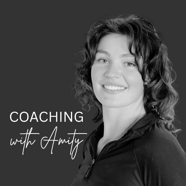 Amity Frazer. The Insecurity Project