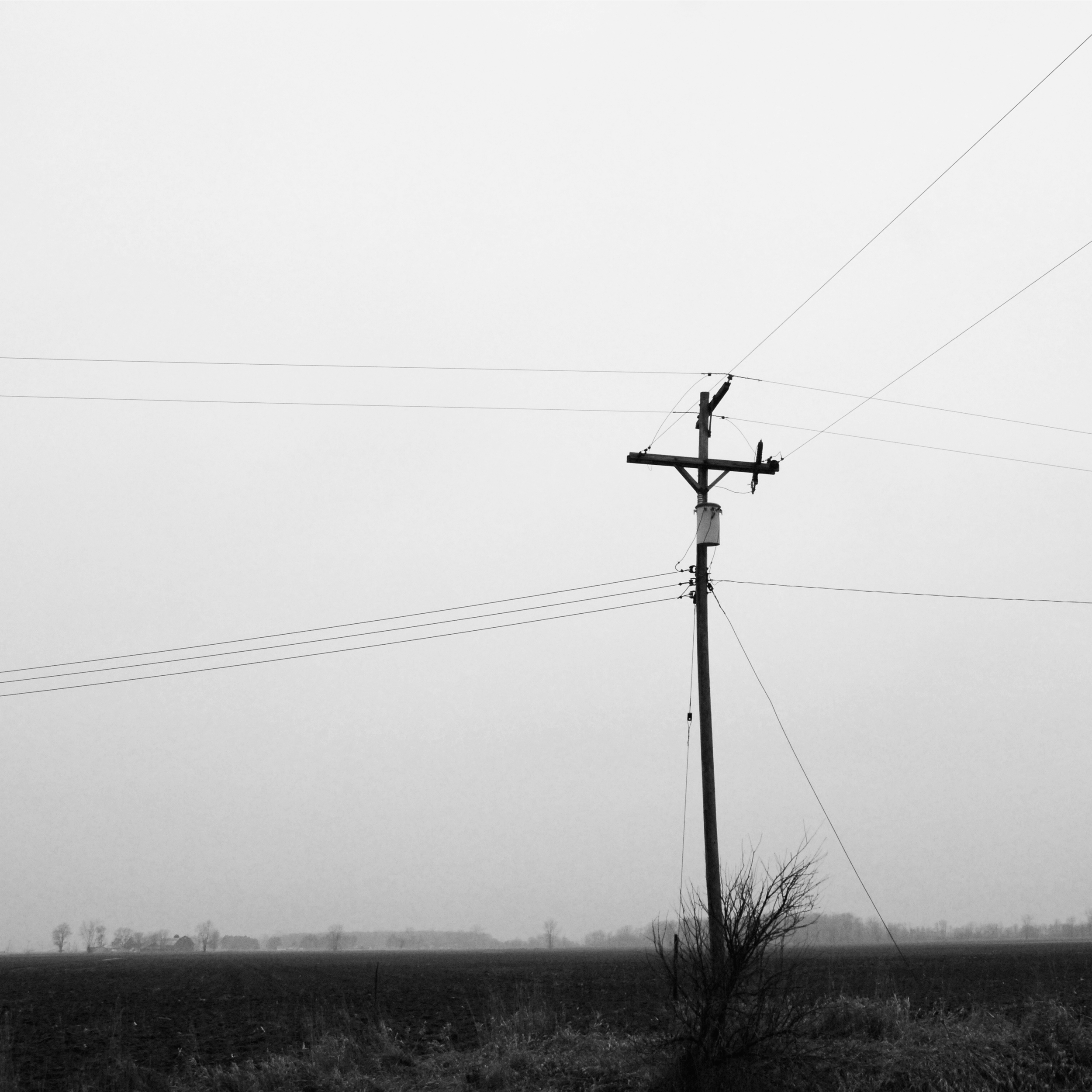 pole.jpg