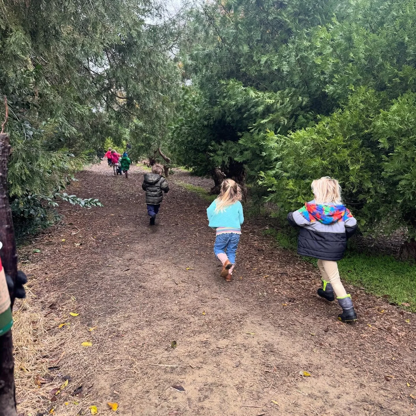 What a magical morning exploring the forest! 🌲 We used our five senses, found leaves, and sticks of all sizes, fed animals, drove a tractor, enjoyed hot apple cider with friends, danced, sang and played in the great outdoors! 🌲 Thanks so much to Am