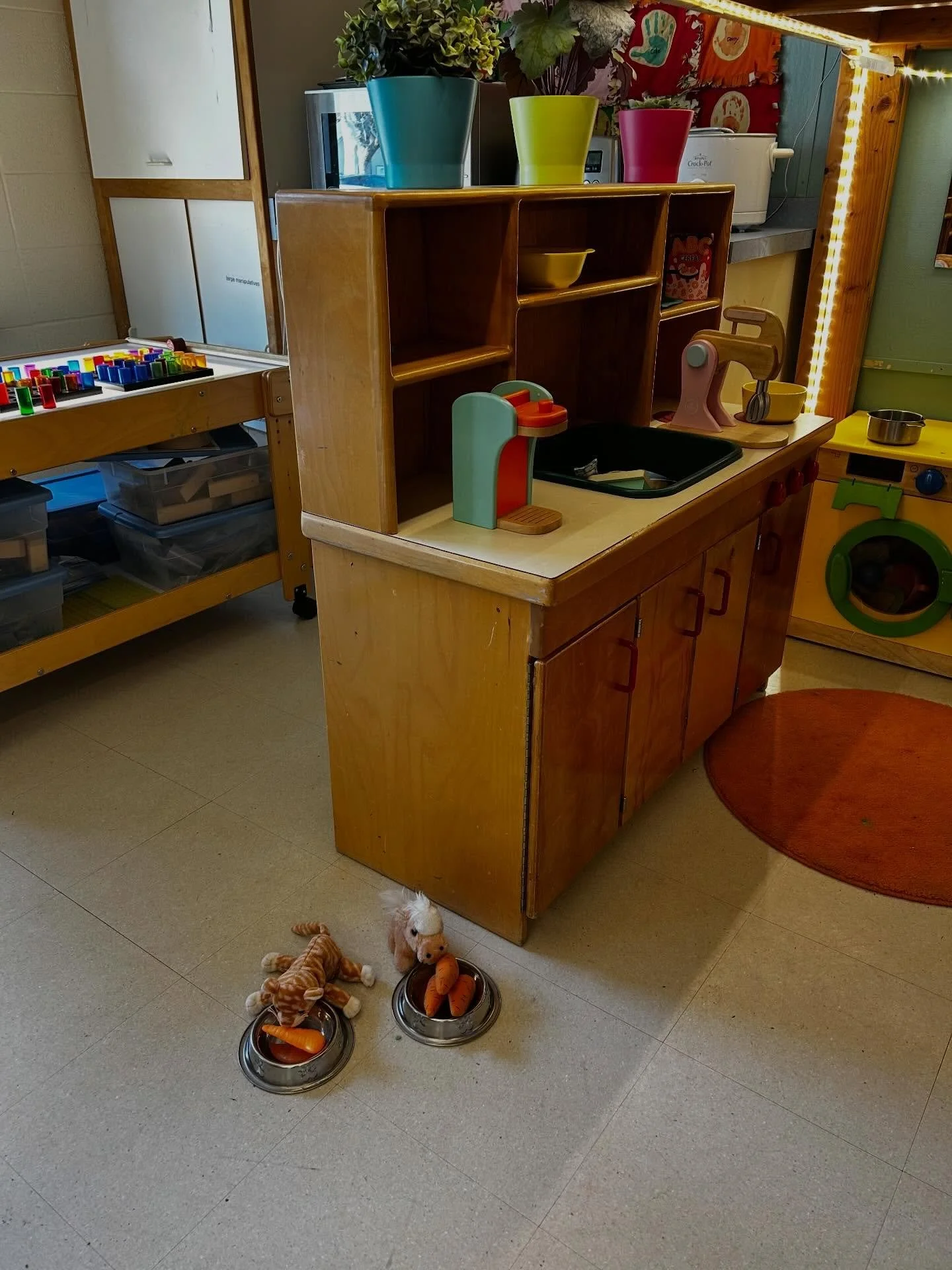 Sweet Seeds class taking care of our class pets ❤️ #pretendplay #poppypreschoolcooperative #playbased
