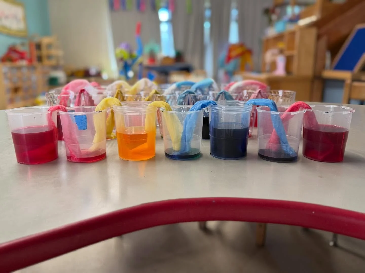 We had so much fun yesterday in the Sprouts class! 💚Walking rainbow 🌈 science 🧪, so many silly shenanigans and lots of furniture turned upside down! 💚