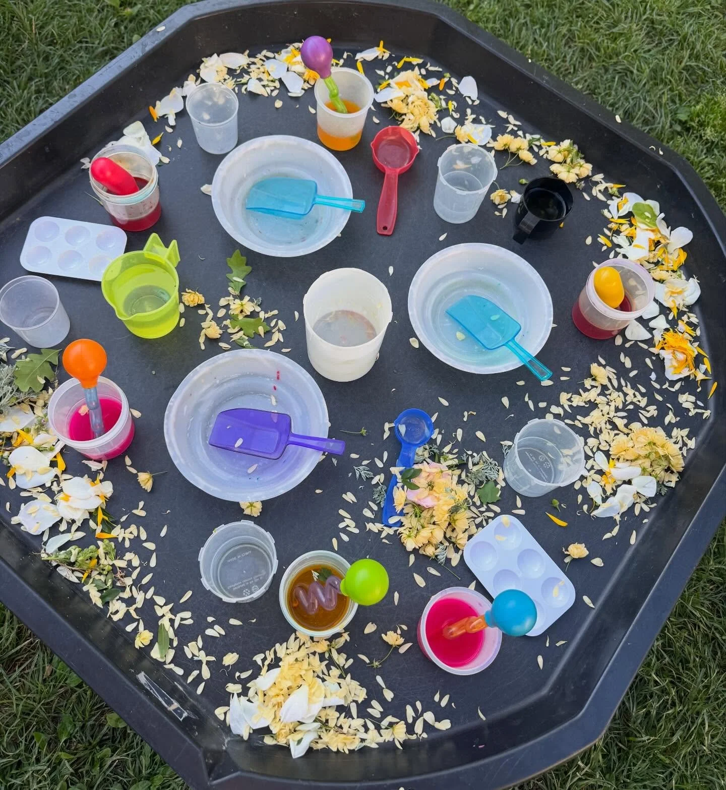 🌼 Happy Spring Break 🌺 Hope you get a little time to enjoy the sunshine and spring flowers! And maybe make a potion or two&hellip;. 🧪 ☀️