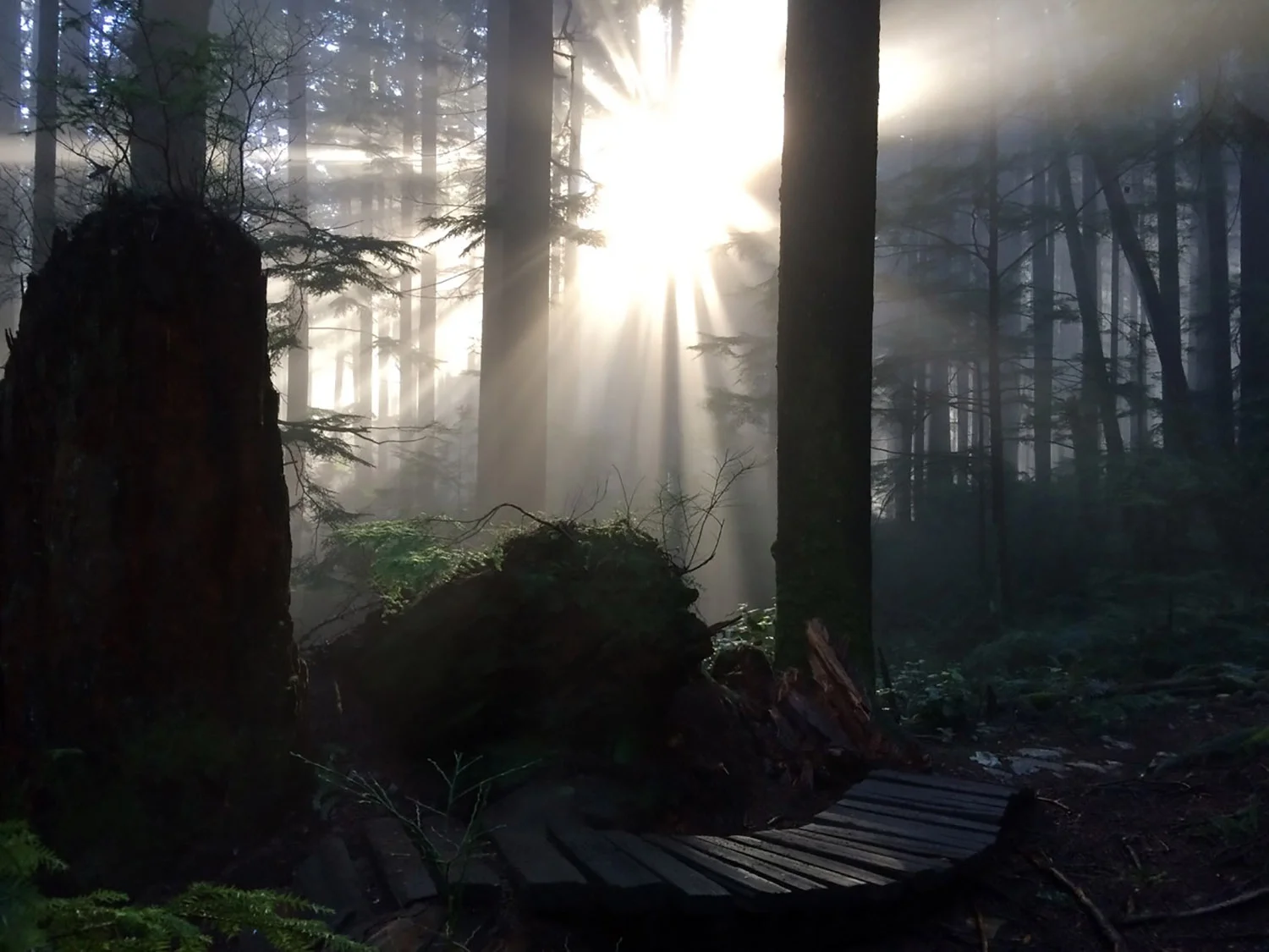 Fromme.jpg