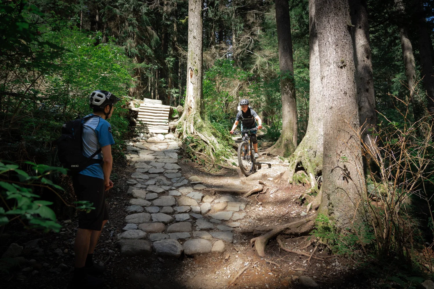 Singletrack Sampler Tours — Endless Biking