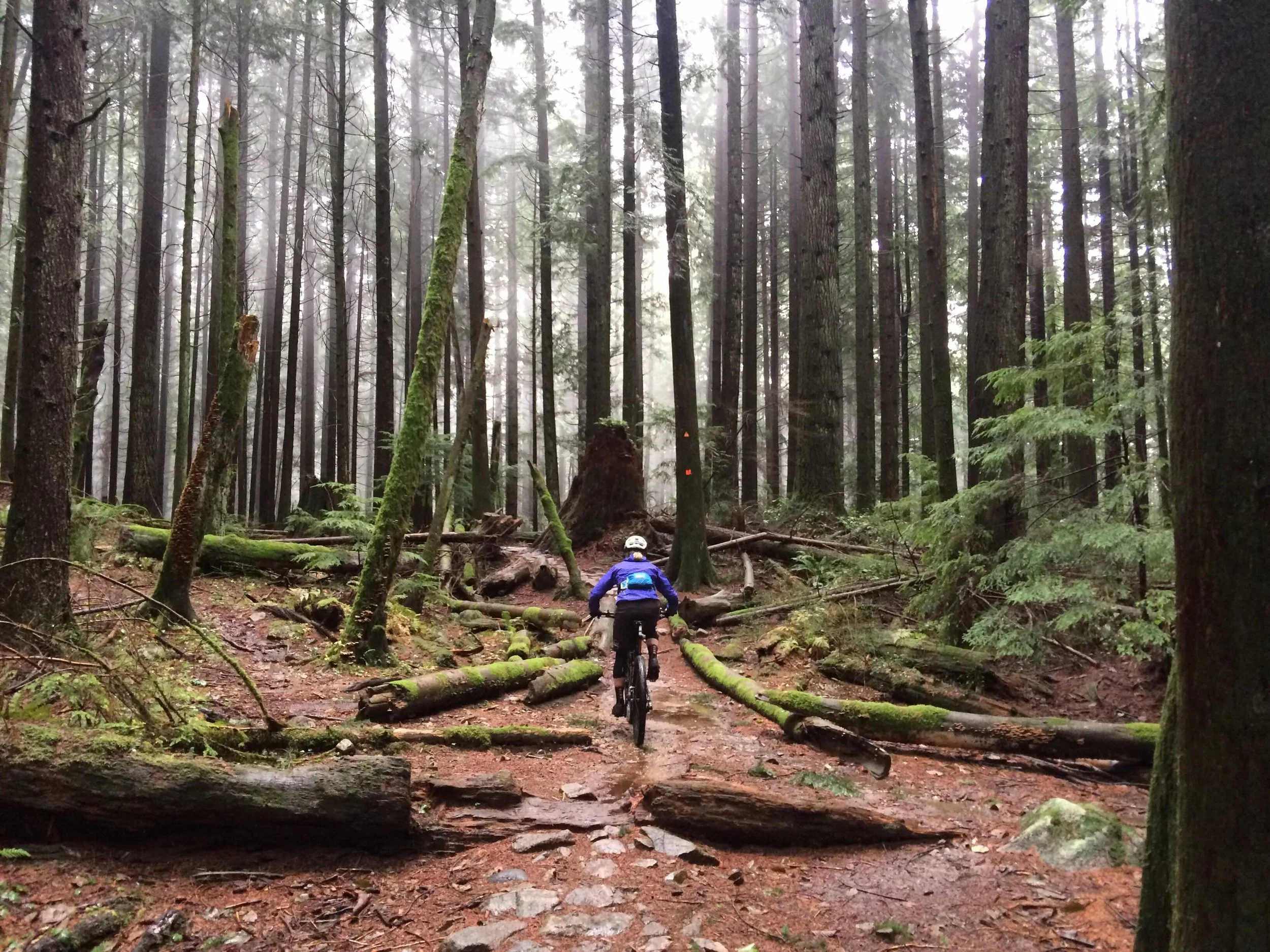 Tour-2015-12-09 11.13.44-sm.jpeg