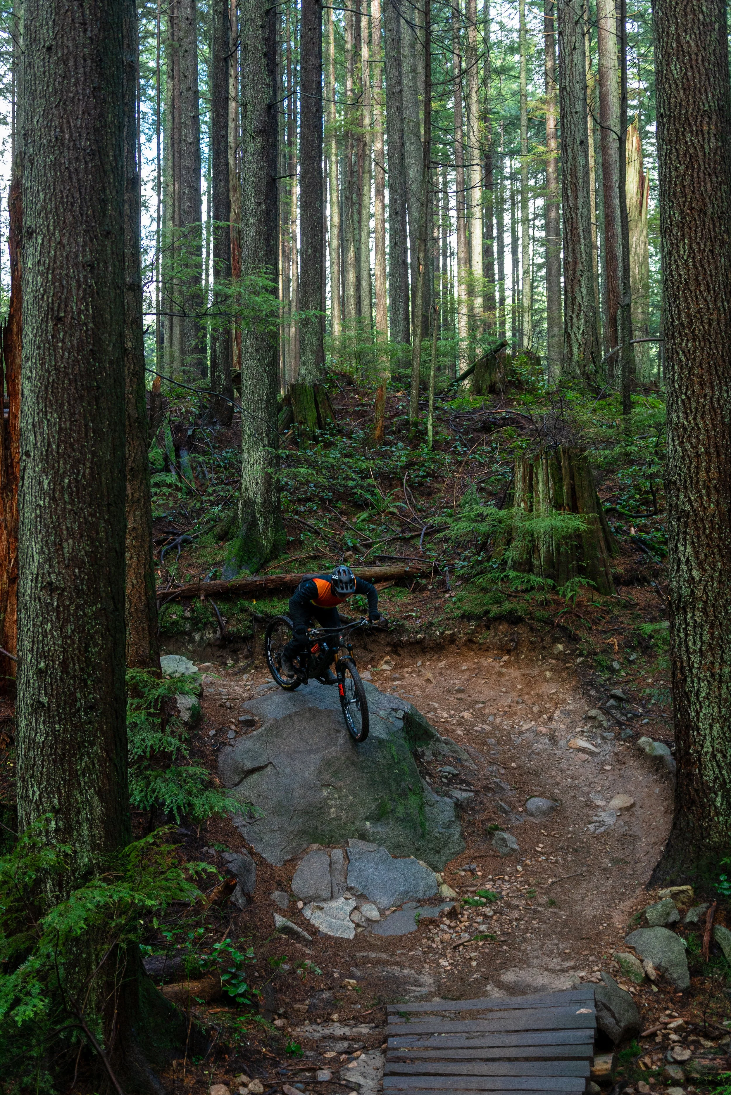 Nov 26 Seymour EB-10.jpeg