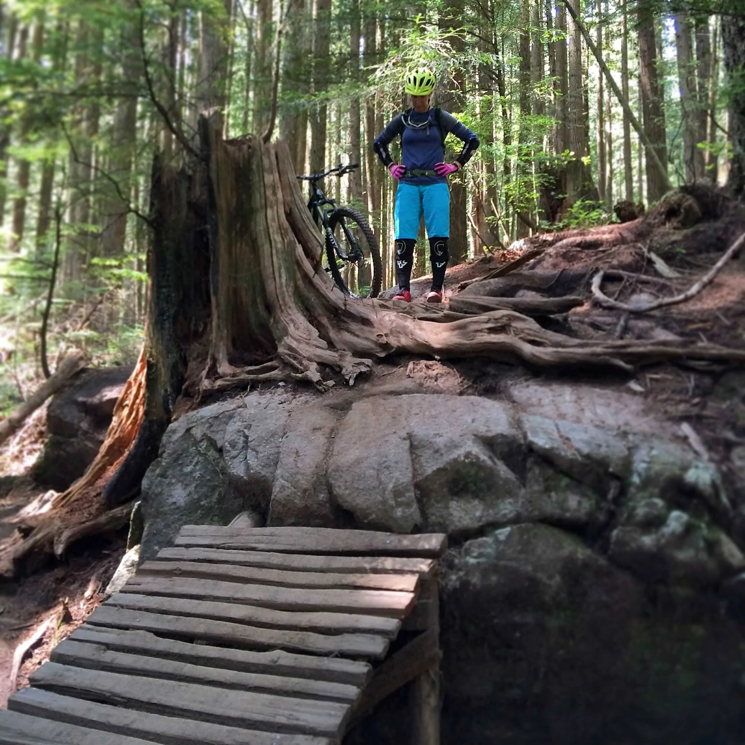 PRV2015-07-14 13.42.47-1.jpeg