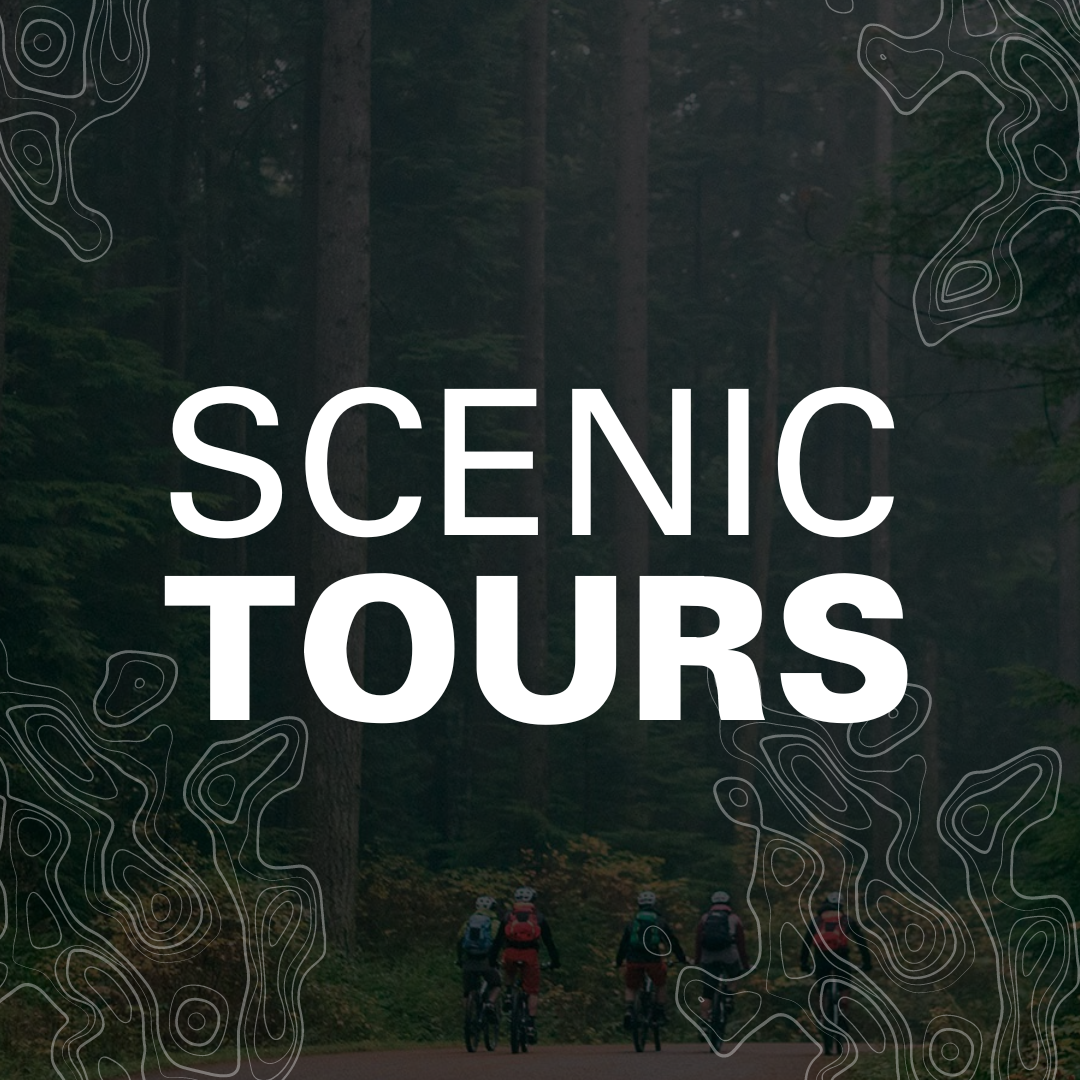 Bike Tour Vancouver, North Vancouver, Greater Vancouver, Tourism, Bikes, Mountain Bikes