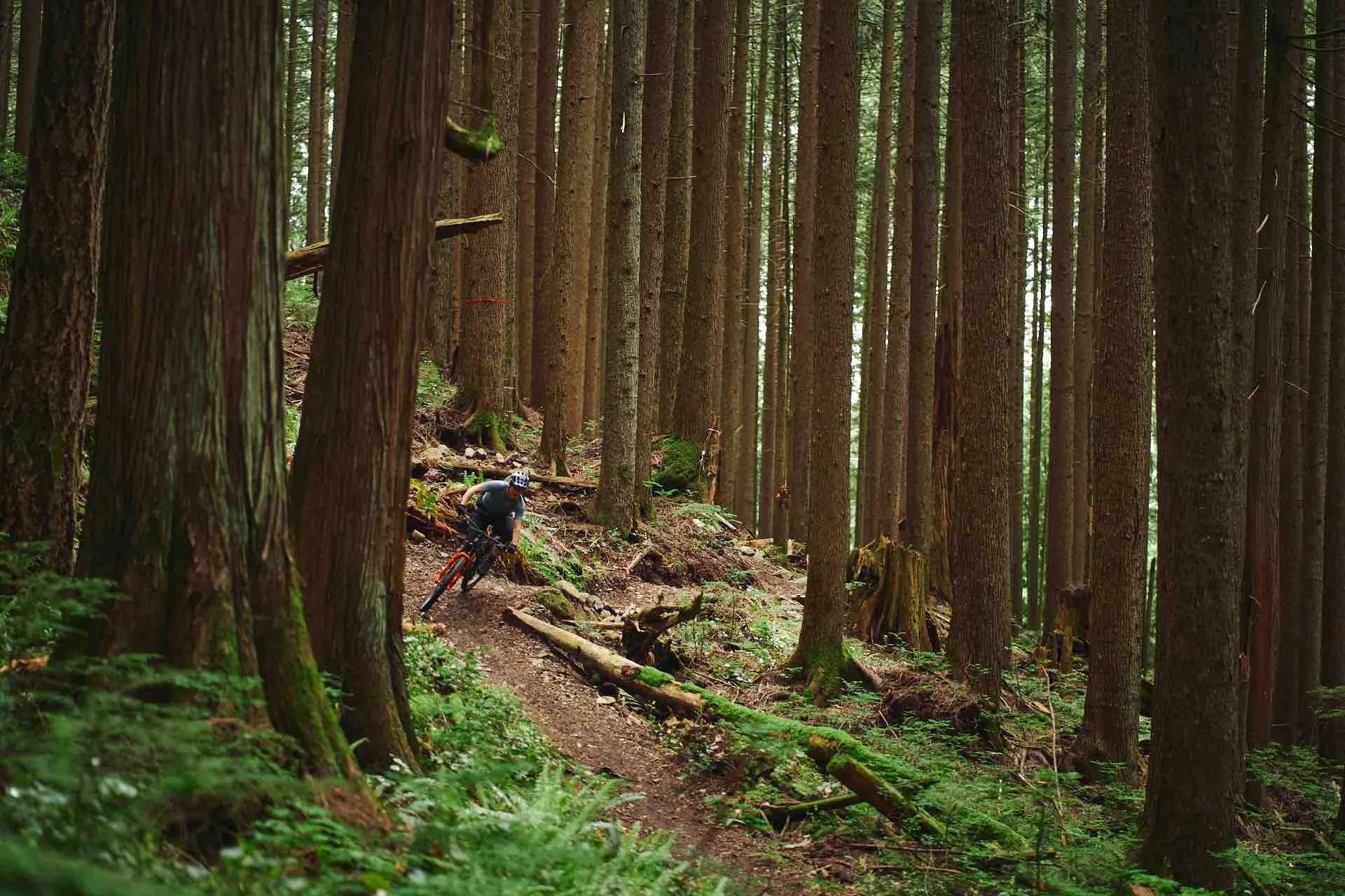 North Vancouver | EB Tour