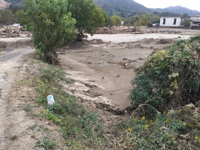 Fields, streets, and houses flooded with mud.JPG