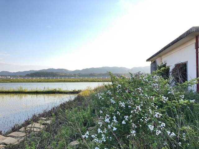 Nozomi Center and Chapel, Offering hope in Yamamoto.JPG