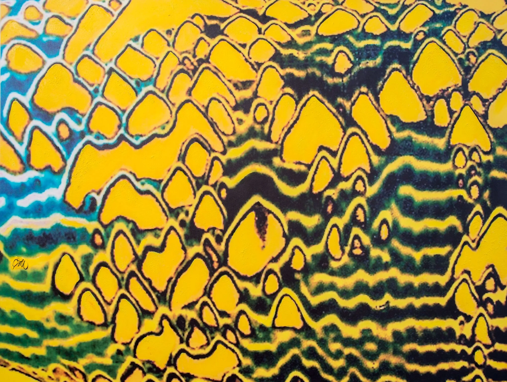 SSP_0907.jpg