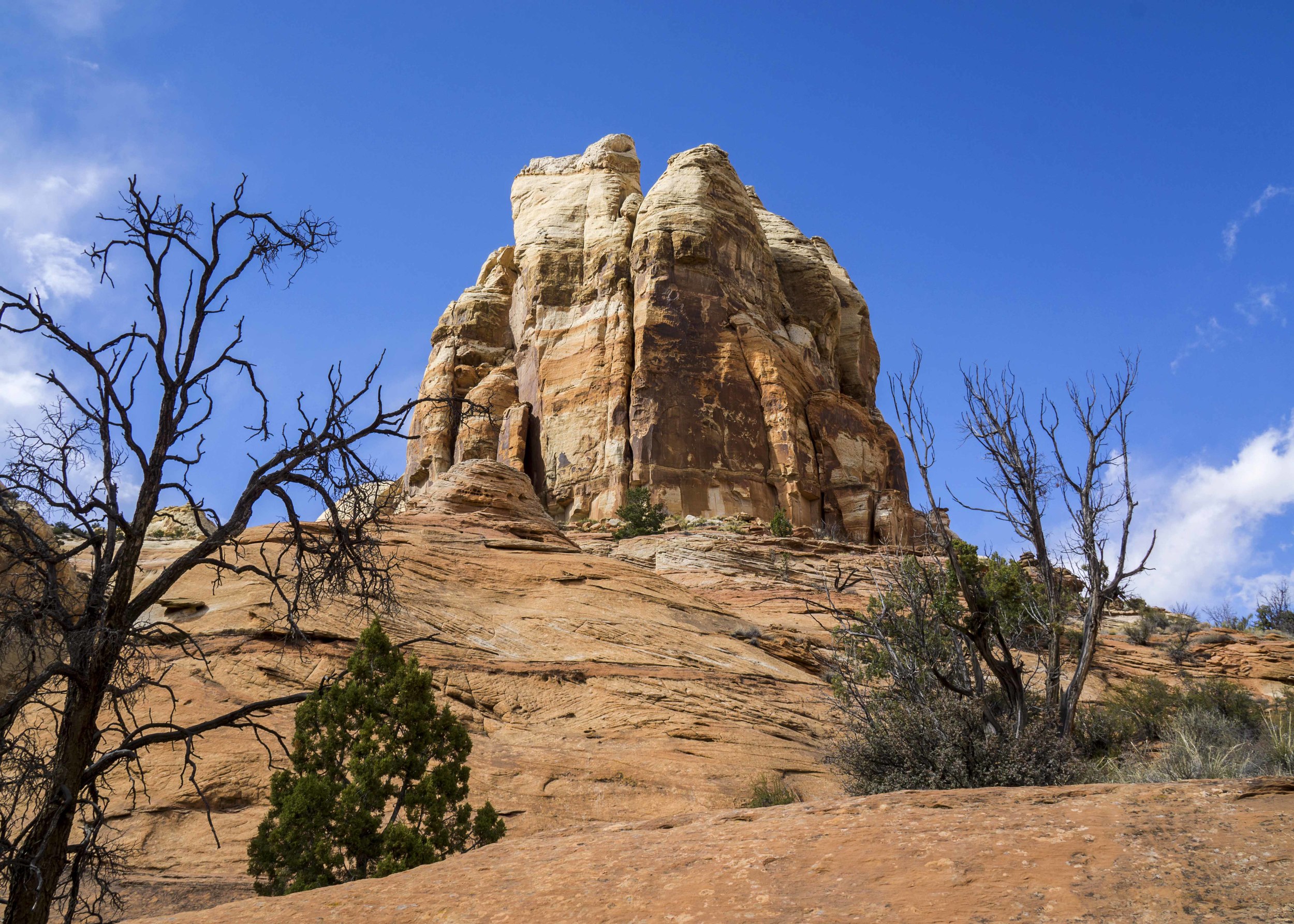 Mar262016_4911 Raw edit.jpg