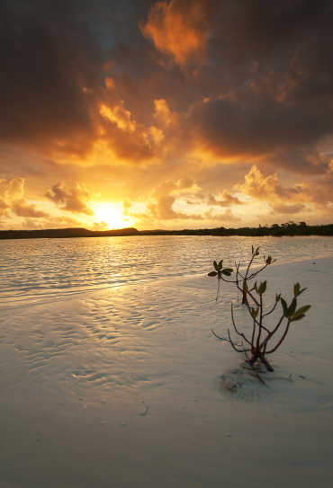t5616x3744-776-raw-edit.jpg