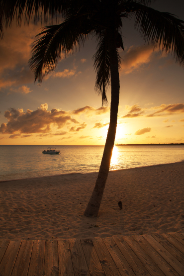 t5616x3744-1213-raw-edit.jpg