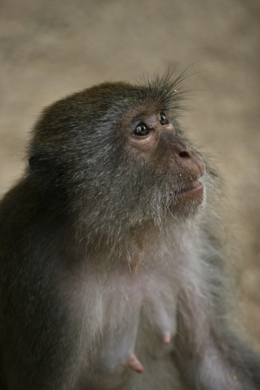 0027-raw.jpg