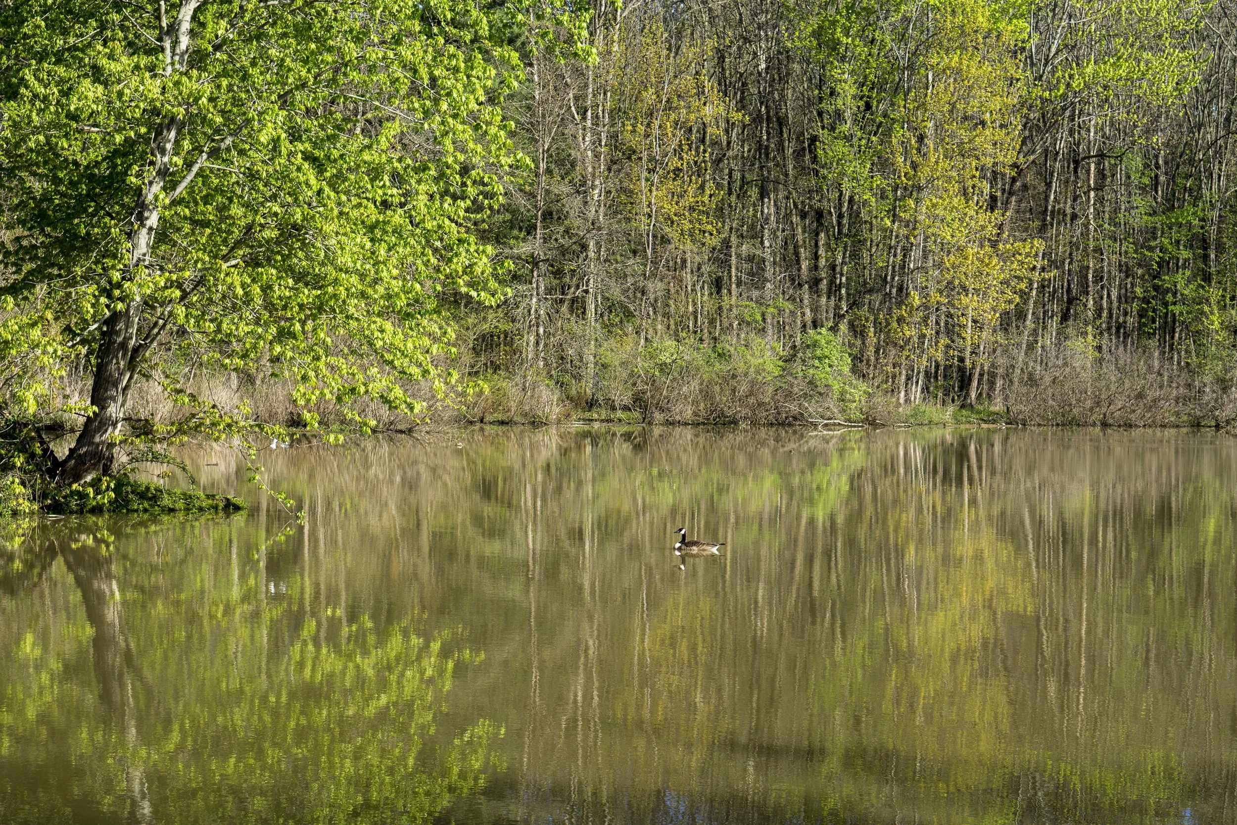 May082016_0529 Raw.jpg