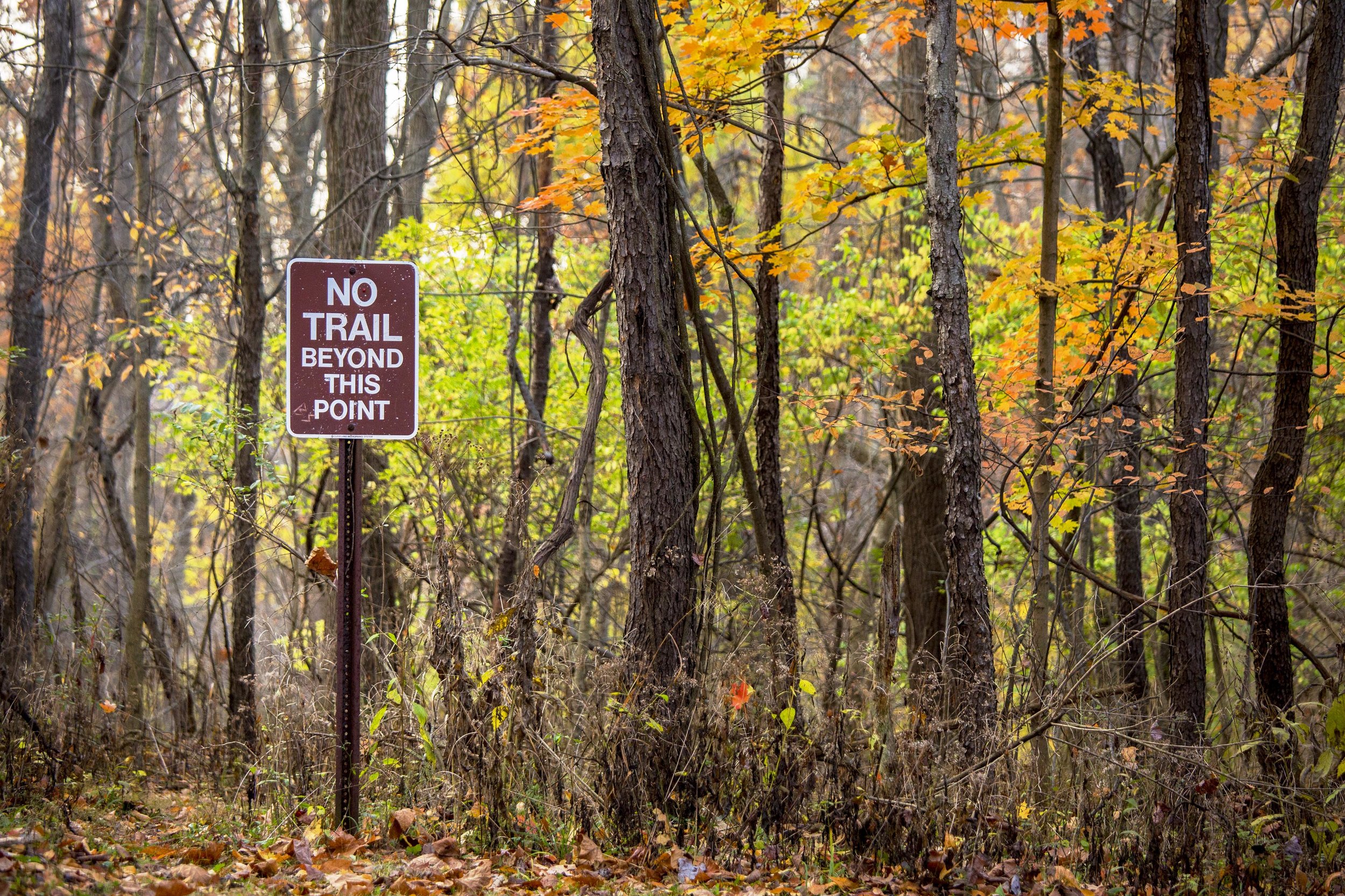 Lake Isaac Trail, Berea, Ohio - Photo by Todd Sechel