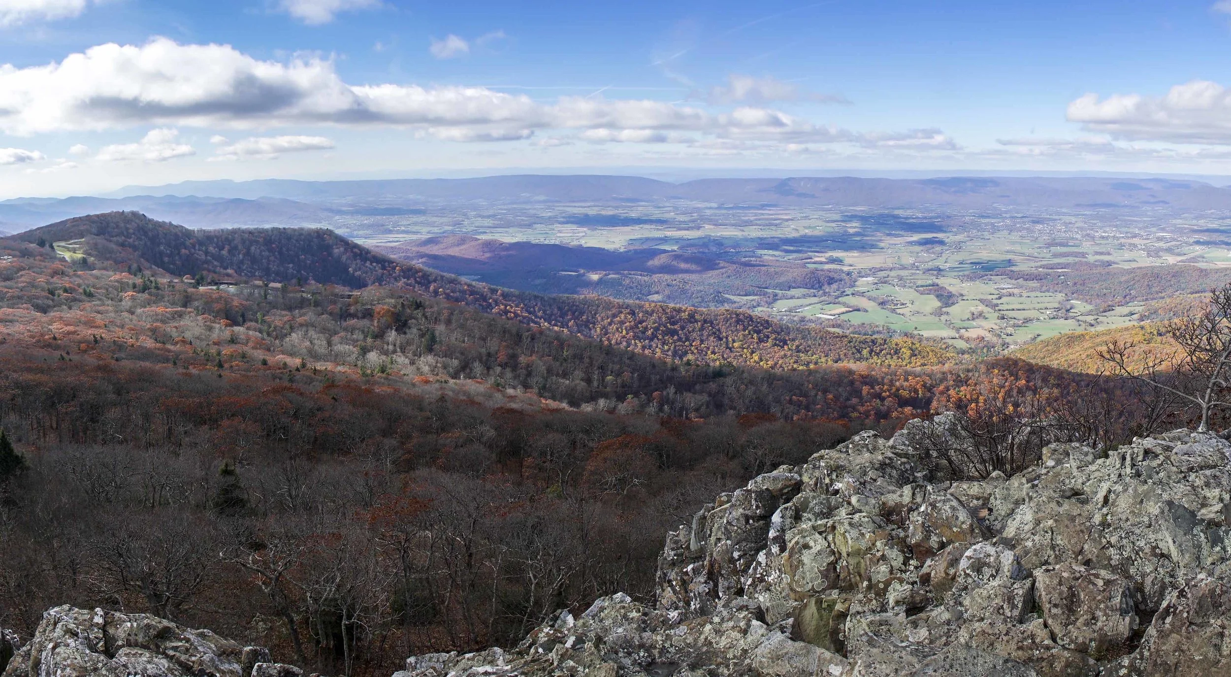Nov102017_0111 Raw.jpg