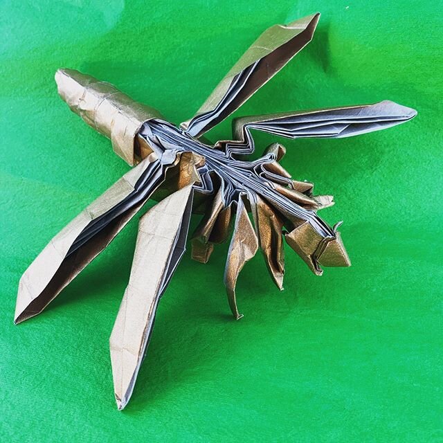 This is the dragonfly designed by Satoshi Kamiya!!!This was an amazing model to fold all the steps just went so smoothly but that doesn&rsquo;t mean that the model was easy...o no no no!!This was a very hard model in my opinion this dragonfly was fol