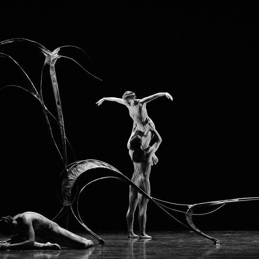 Corado lifts a fellow performer in Tin Tal, photo by Sharon Kain