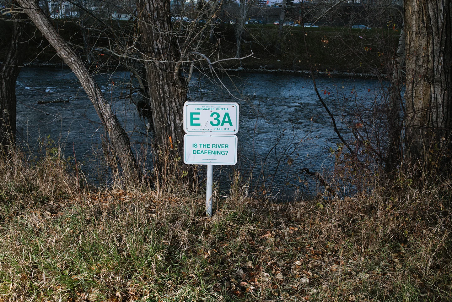 DSC_5808.jpg