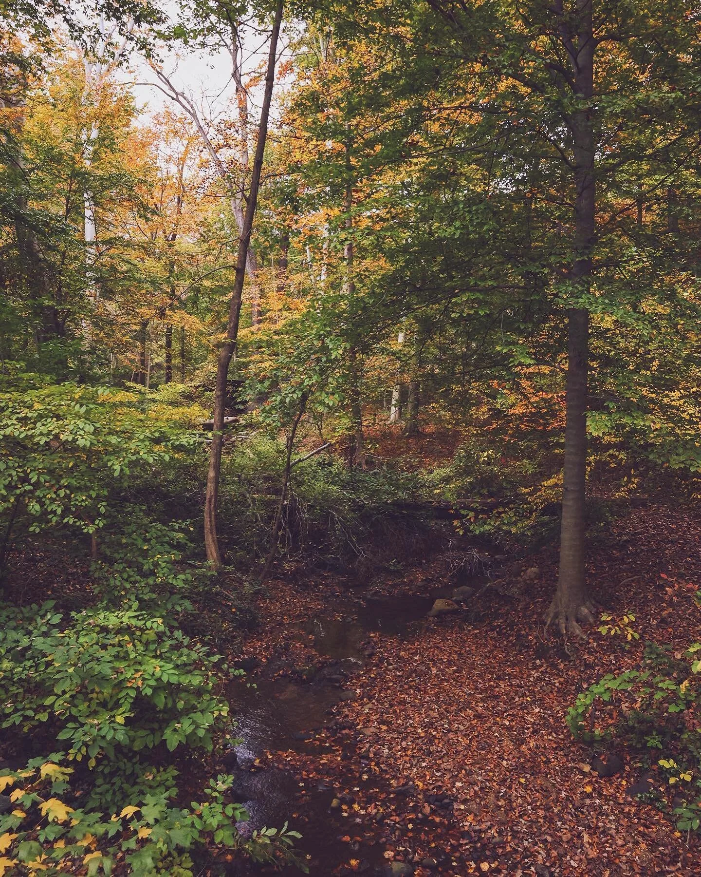 Leaves fall and feed the floor. From that earth rise trees that feed the world. 
Simply because it&rsquo;s all we&rsquo;ve ever know&mdash; from our first breath to our last, from our ancestors to our offspring, from inhale to exhale &mdash; makes it