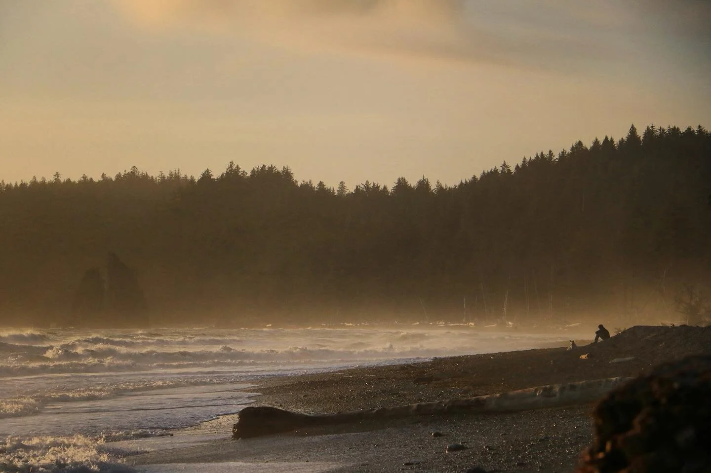 When you go through the trauma of racism as a child it changes you permanently. You feel unwelcome in a place for the first time not because you misbehaved but because of who you are&mdash; ugly because of where you&rsquo;re from and the color of you