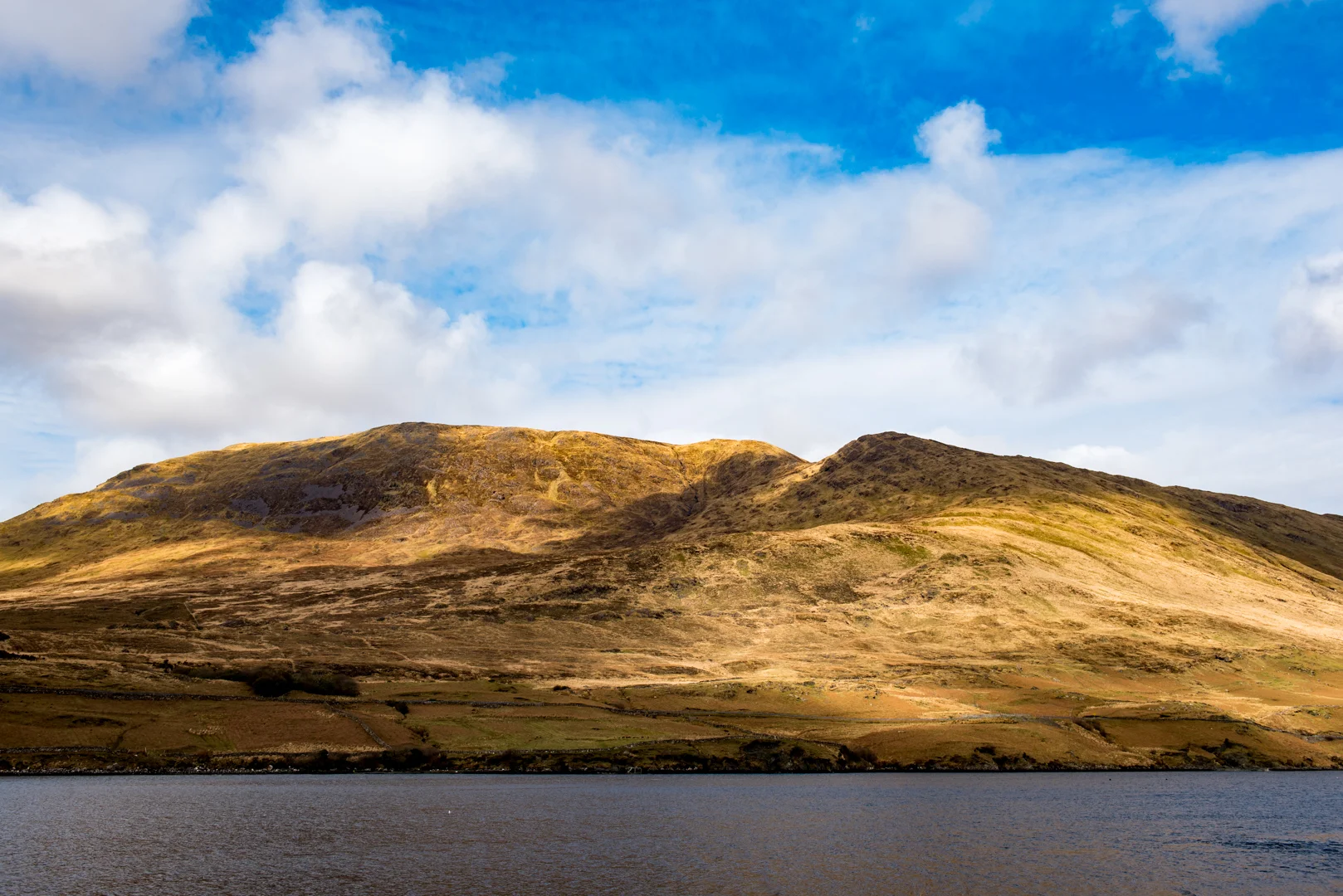 DSC_1949.jpg