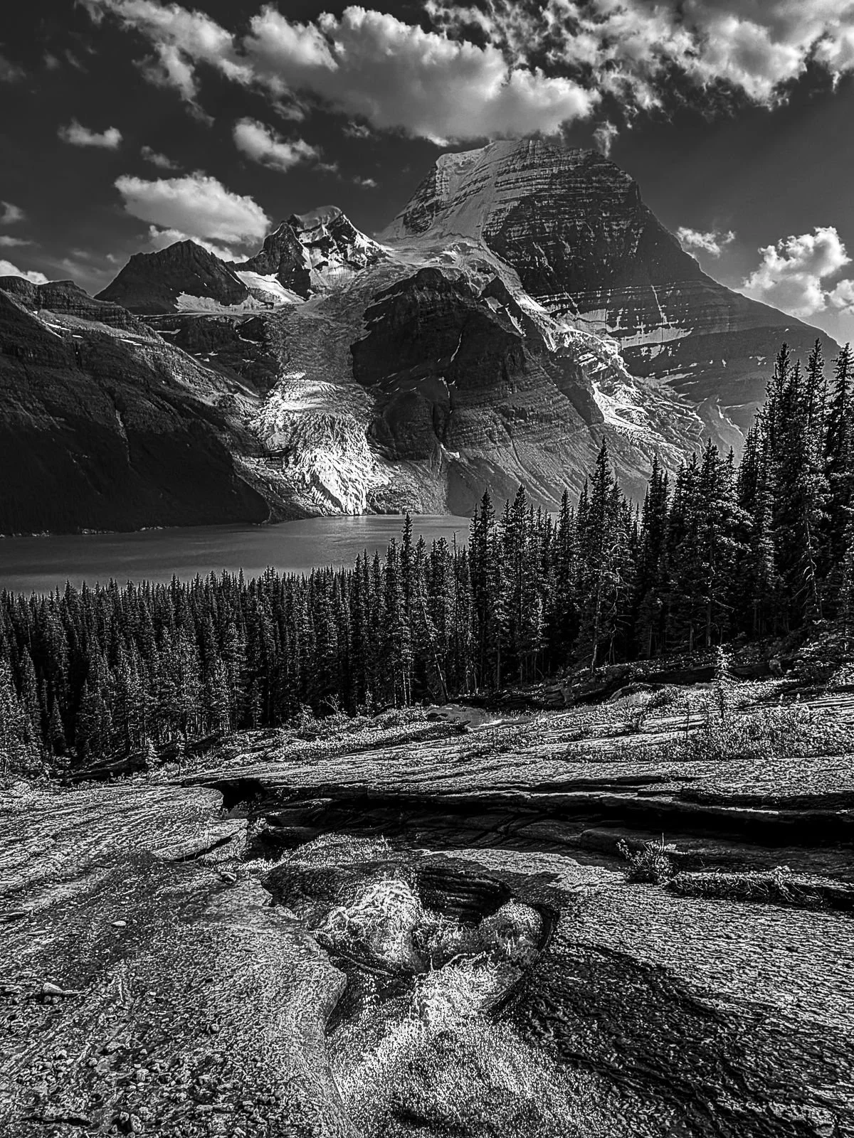 IMG_1263_squarespace.jpg