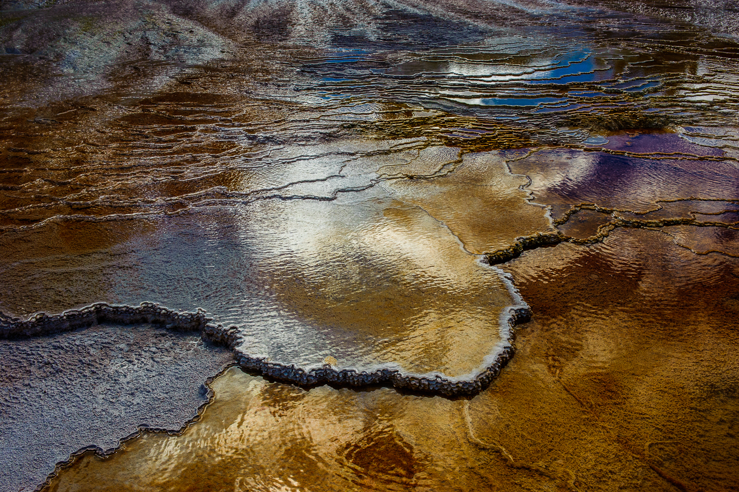 Reflections of Texture