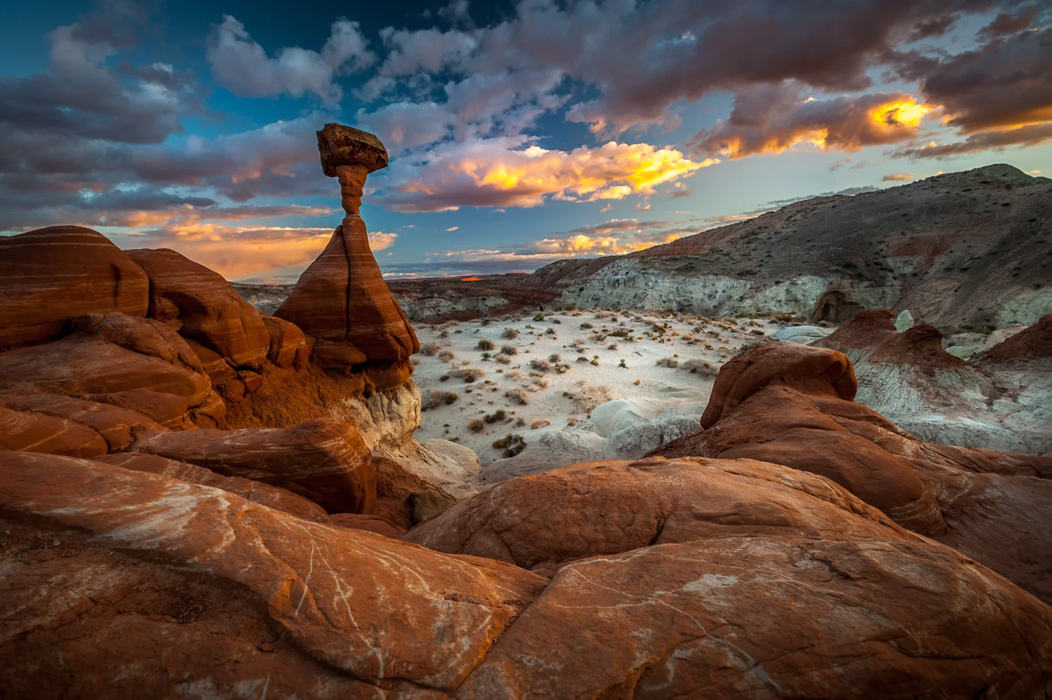 Toadstool Sunset