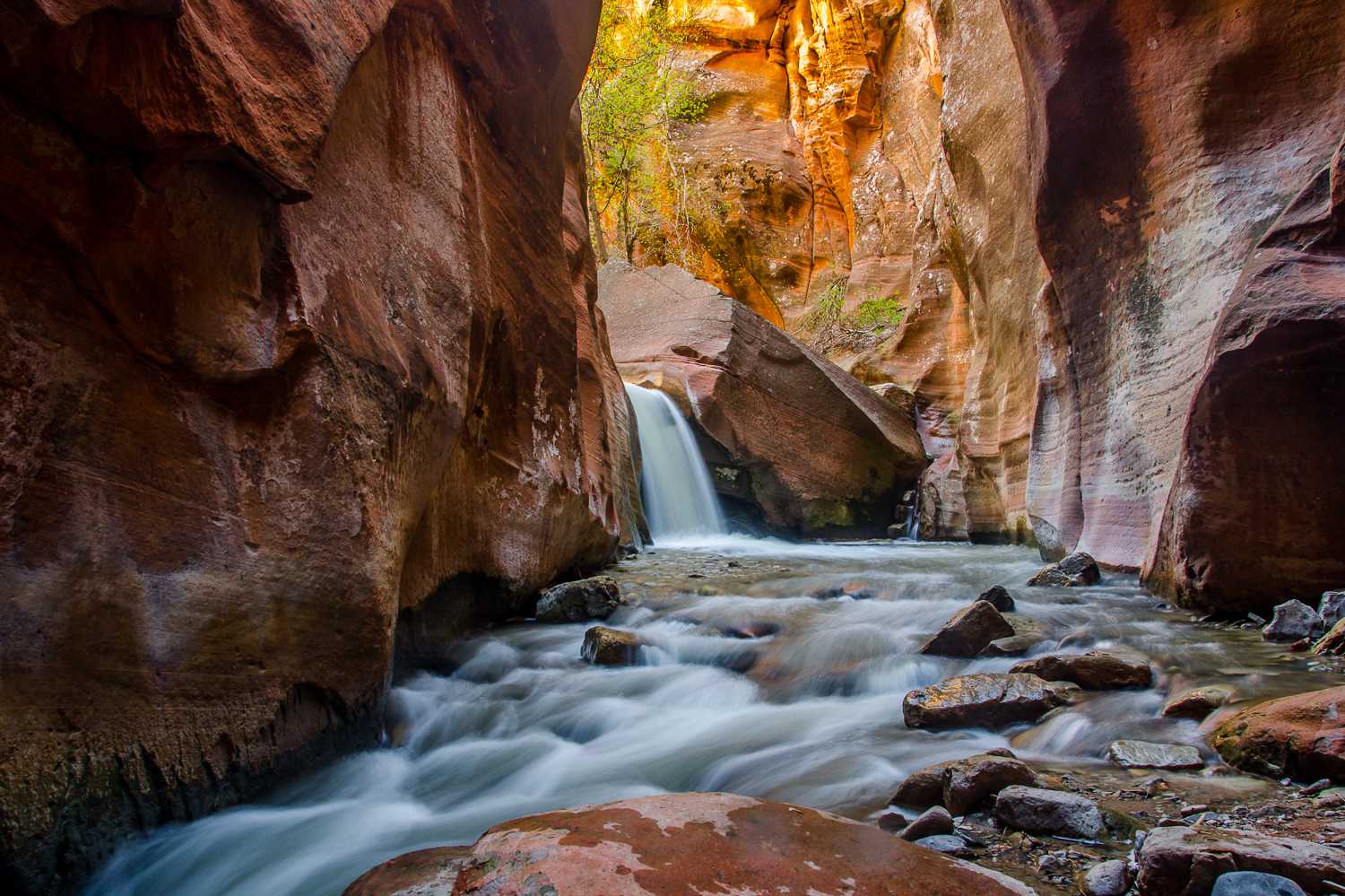 Kanarra Creek