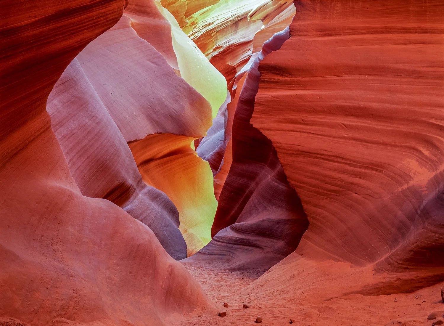 Antelope Heart