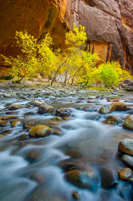 Life of Zion