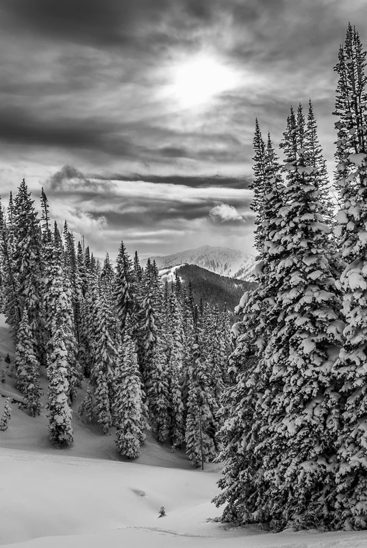 Evergreen Powder Solstice