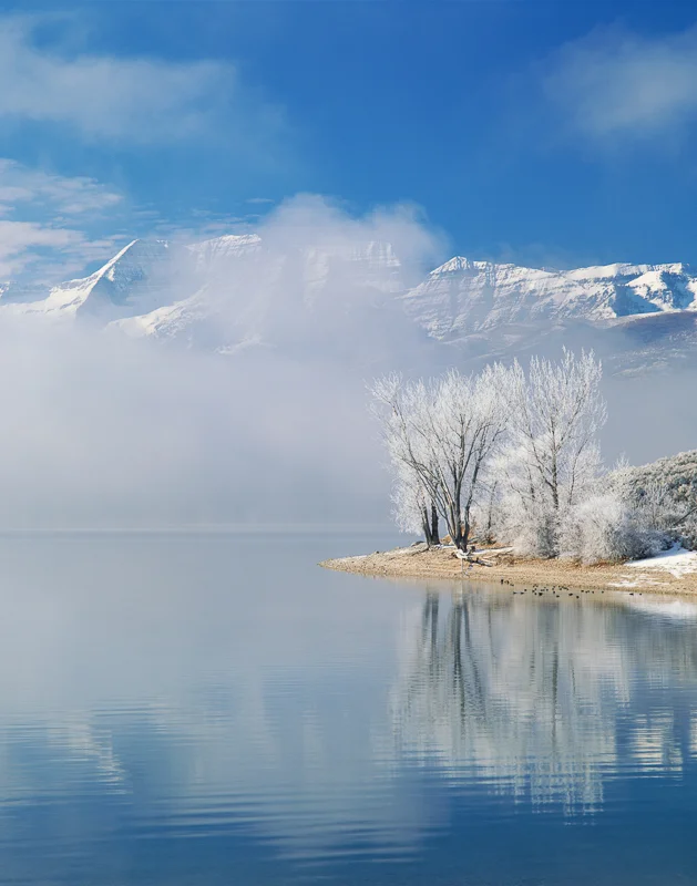 Frozen Mist