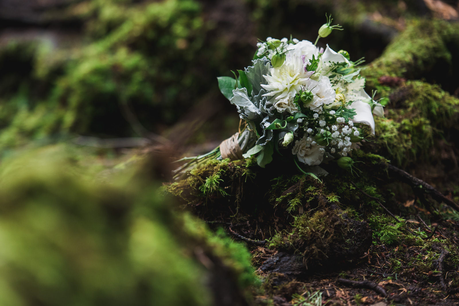 vancouver-island-wedding-photographers-cliff-gilker-park-smugglers-cove-elopement-16.jpg