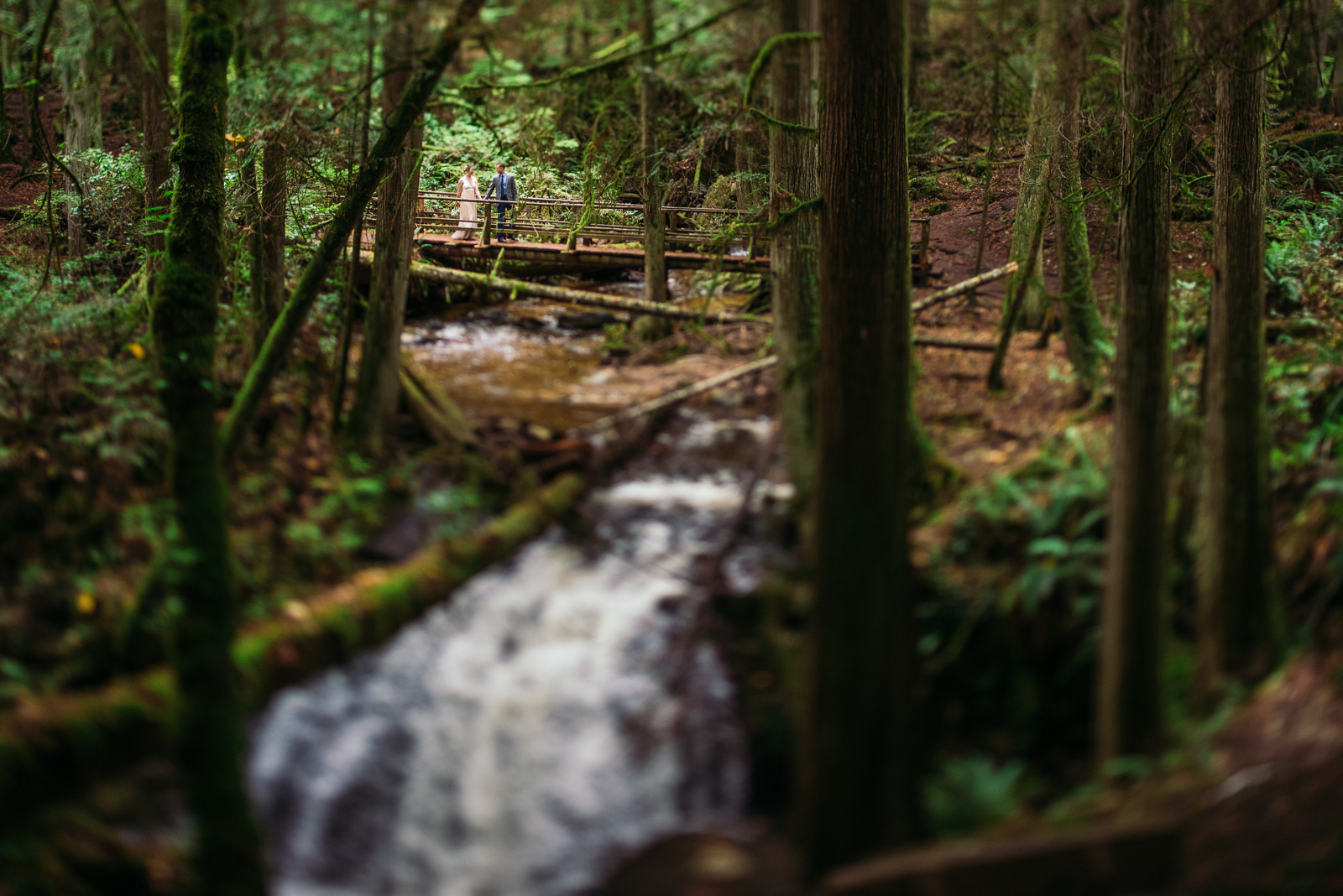 vancouver-island-wedding-photographers-cliff-gilker-park-smugglers-cove-elopement-19.jpg