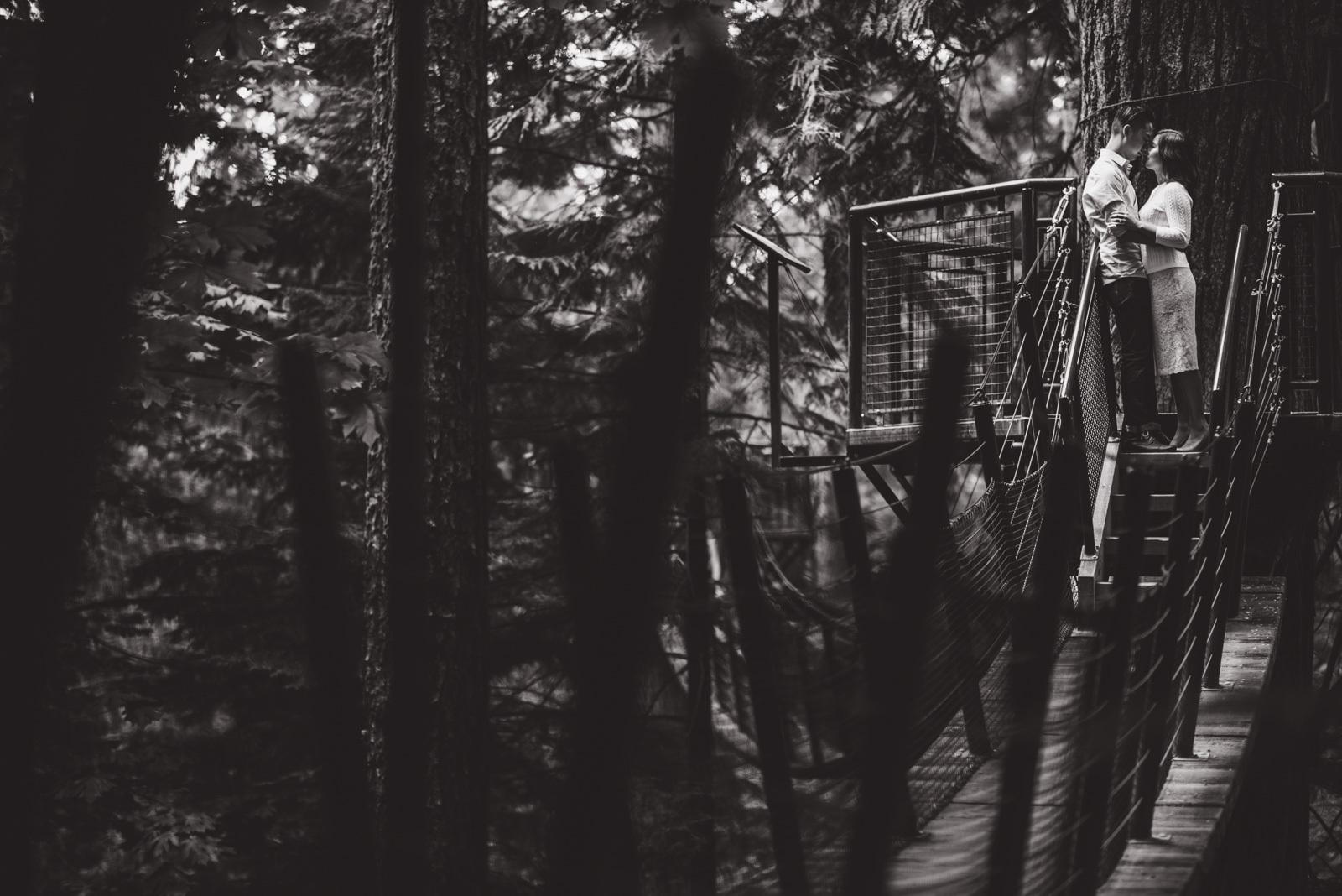 vancouver-island-wedding-photographers-capilano-suspension-bridge-engagement-13.jpg