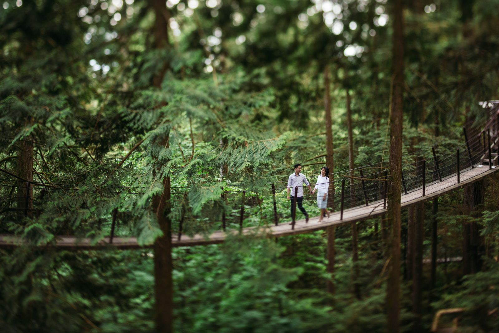 vancouver-island-wedding-photographers-capilano-suspension-bridge-engagement-14.jpg