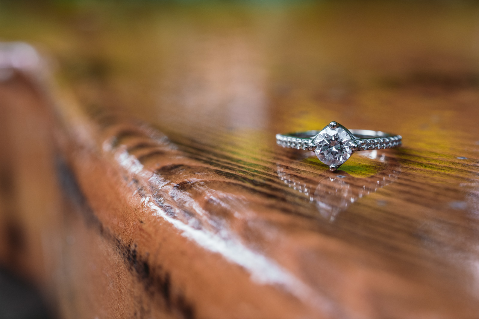 vancouver-island-wedding-photographers-capilano-suspension-bridge-engagement-19.jpg